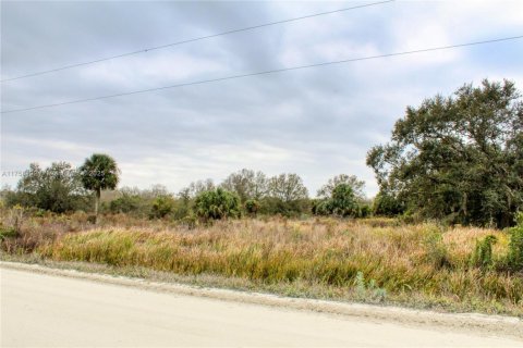 Terrain à vendre à Okeechobee, Floride № 2023181 - photo 8