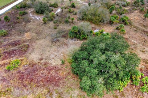 Terrain à vendre à Okeechobee, Floride № 2023181 - photo 30