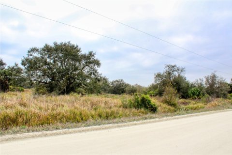 Terrain à vendre à Okeechobee, Floride № 2023181 - photo 9