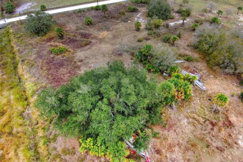 Terrain à vendre à Okeechobee, Floride № 2023181 - photo 28