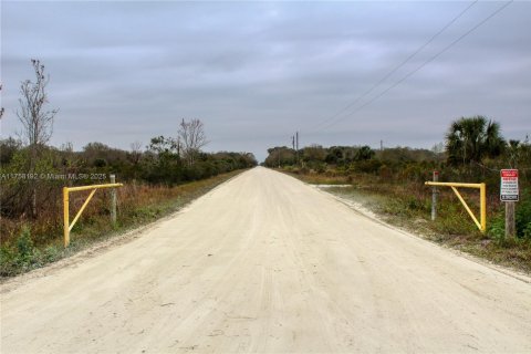 Terrain à vendre à Okeechobee, Floride № 2023181 - photo 16