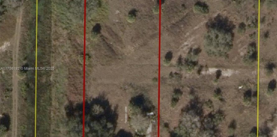 Terrain à Okeechobee, Floride № 2023181