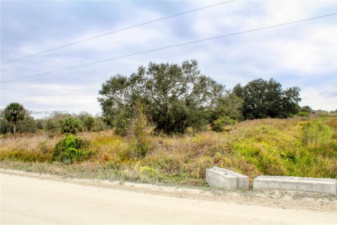 Terrain à vendre à Okeechobee, Floride № 2023181 - photo 3