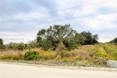 Terrain à vendre à Okeechobee, Floride № 2023181 - photo 4
