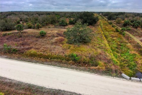 Terrain à vendre à Okeechobee, Floride № 2023181 - photo 22