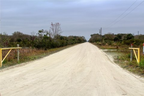 Terrain à vendre à Okeechobee, Floride № 2023181 - photo 19