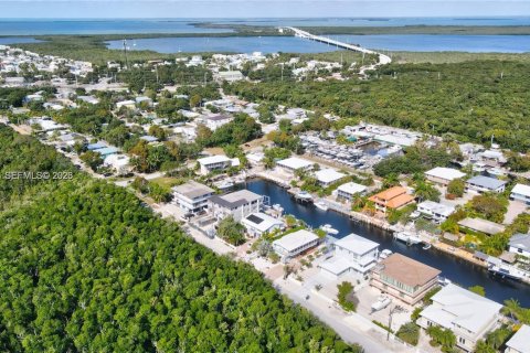 Casa en venta en Key Largo, Florida, 4 dormitorios, 280.94 m2 № 2048511 - foto 7