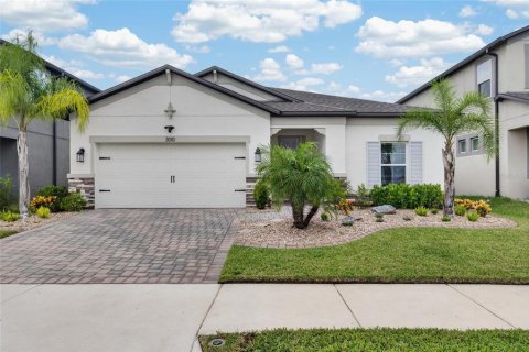 House in Wimauma, Florida 3 bedrooms, 205.04 sq.m. № 2396873