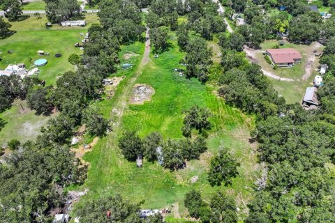 Land in Wimauma, Florida № 1886863 - photo 13