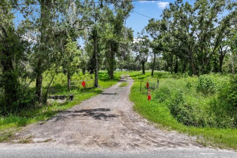 Land in Wimauma, Florida № 1886863 - photo 1