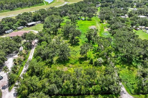 Land in Wimauma, Florida № 1886863 - photo 11