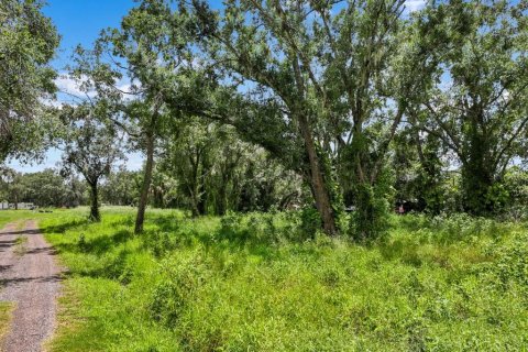 Land in Wimauma, Florida № 1886863 - photo 2
