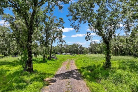 Land in Wimauma, Florida № 1886863 - photo 4