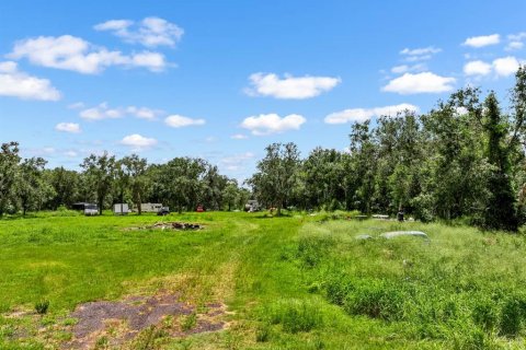 Land in Wimauma, Florida № 1886863 - photo 6