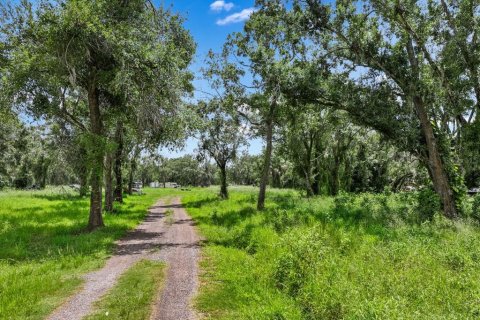 Land in Wimauma, Florida № 1886863 - photo 3