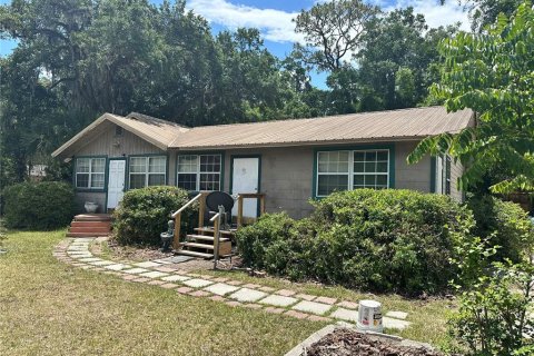 Commercial property in Gainesville, Florida 323.49 sq.m. № 1218383 - photo 1