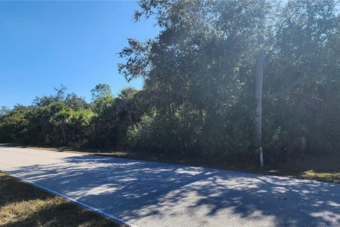Land in Port Charlotte, Florida № 2163915 - photo 2