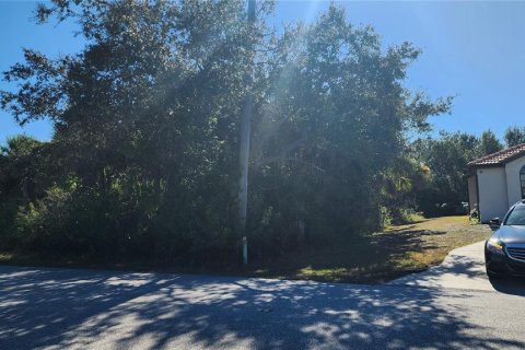 Land in Port Charlotte, Florida № 2163915 - photo 3