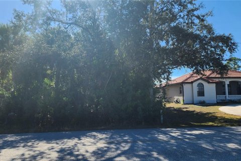 Land in Port Charlotte, Florida № 2163915 - photo 4