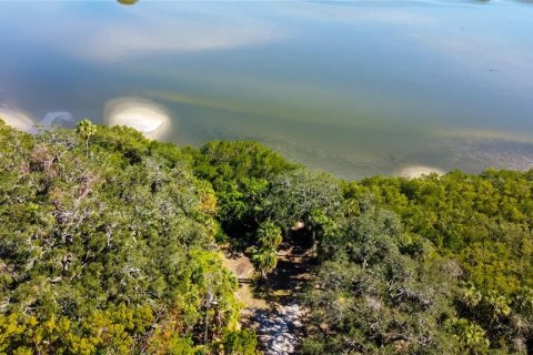 Terrain à vendre à Clearwater, Floride № 1558953 - photo 6
