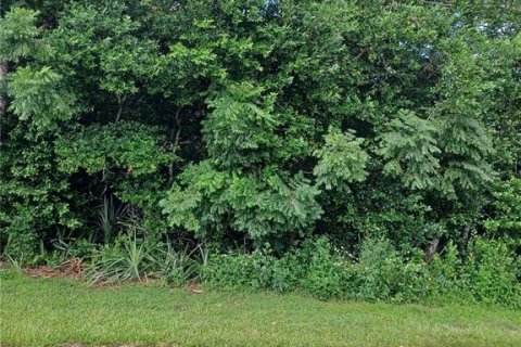 Land in Deltona, Florida № 2367365