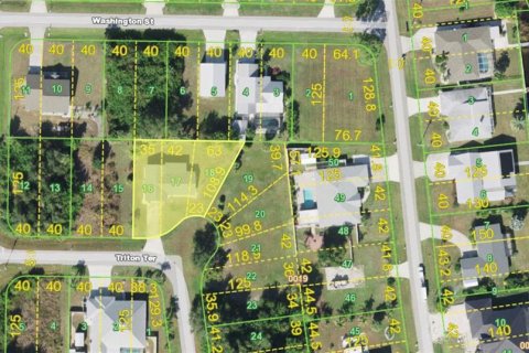 Villa ou maison à vendre à Punta Gorda, Floride: 3 chambres, 128.3 m2 № 2412690 - photo 5