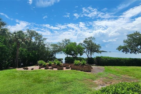Copropriété à louer à Tierra Verde, Floride: 2 chambres, 77.11 m2 № 735131 - photo 29