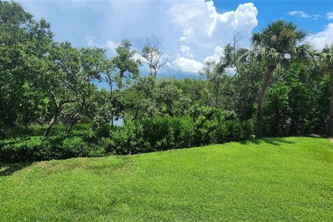 Copropriété à louer à Tierra Verde, Floride: 2 chambres, 77.11 m2 № 735131 - photo 30