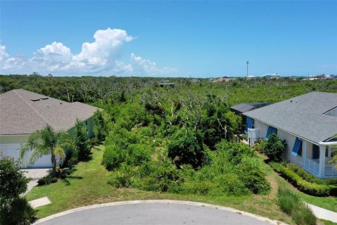 Terreno en venta en Palm Coast, Florida № 1850186 - foto 1