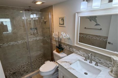 Condo in Saint Petersburg, Florida, 2 bedrooms  № 2215558 - photo 25