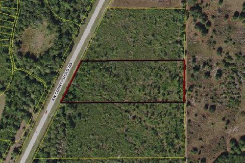 Land in Arcadia, Florida № 213494 - photo 1