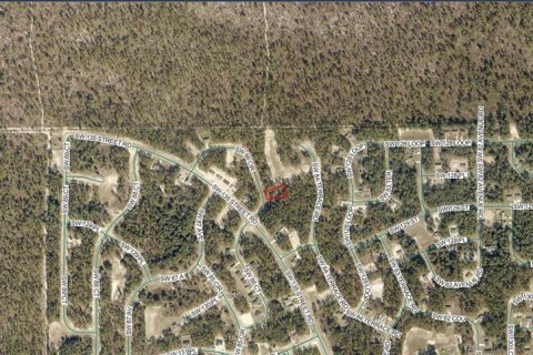 Terrain à vendre à Ocala, Floride № 2213695 - photo 3