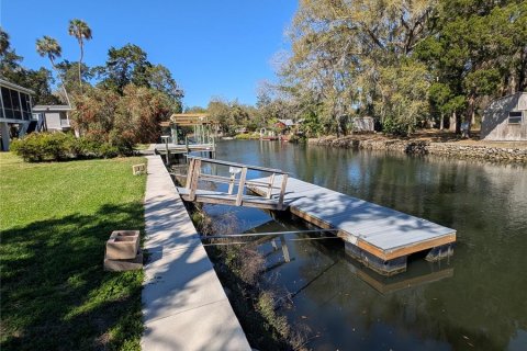 House in Crystal River, Florida 3 bedrooms, 152.17 sq.m. № 1584233 - photo 4