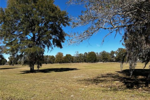 Terrain à vendre à Morriston, Floride № 1017122 - photo 5