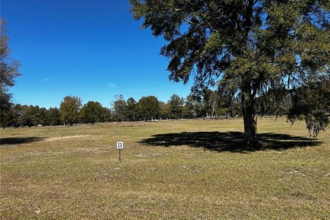 Terrain à vendre à Morriston, Floride № 1017122 - photo 4