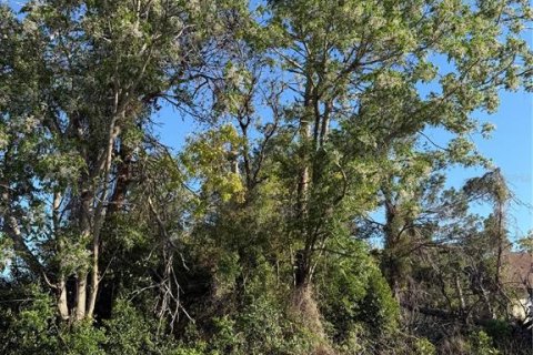 Terrain à Spring Hill, Floride № 2098760