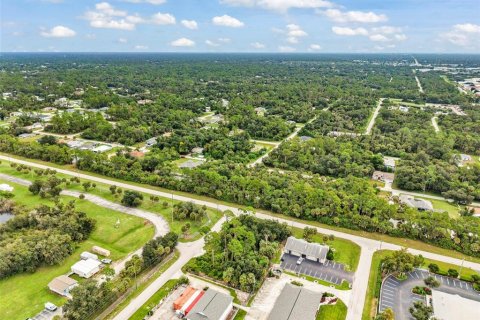 Land in Port Charlotte, Florida № 2402745 - photo 21