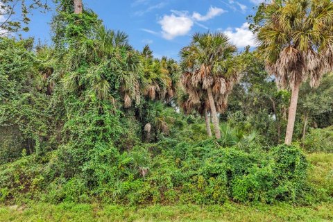 Land in Port Charlotte, Florida № 2402745 - photo 20