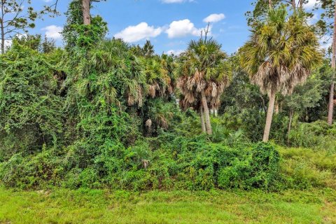 Land in Port Charlotte, Florida № 2402745 - photo 19