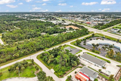 Land in Port Charlotte, Florida № 2402745 - photo 13