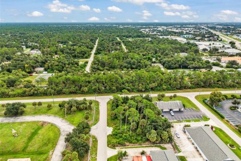 Land in Port Charlotte, Florida № 2402745 - photo 12