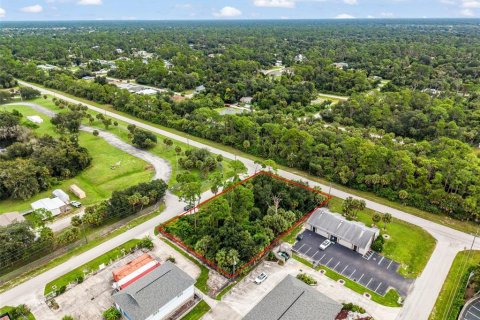 Land in Port Charlotte, Florida № 2402745 - photo 4