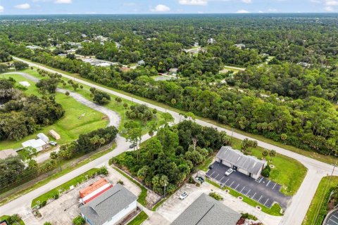 Land in Port Charlotte, Florida № 2402745 - photo 11