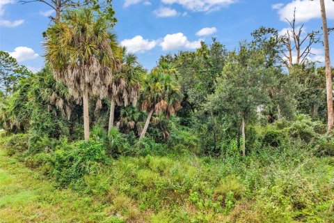 Land in Port Charlotte, Florida № 2402745 - photo 18