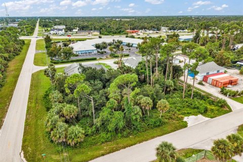Land in Port Charlotte, Florida № 2402745 - photo 3