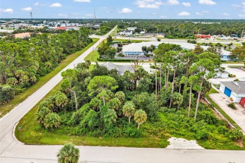 Land in Port Charlotte, Florida № 2402745 - photo 2