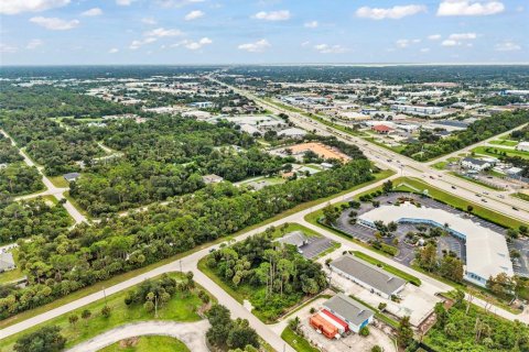 Land in Port Charlotte, Florida № 2402745 - photo 17