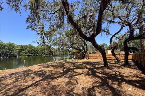 Land in Tampa, Florida № 1280465 - photo 3