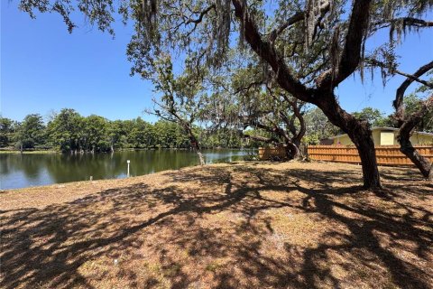 Land in Tampa, Florida № 1280465 - photo 5
