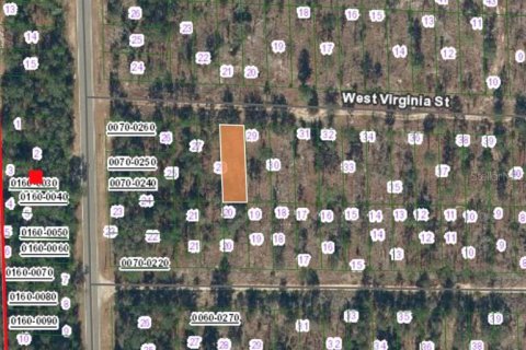 Land in Hawthorne, Florida № 2164933 - photo 2